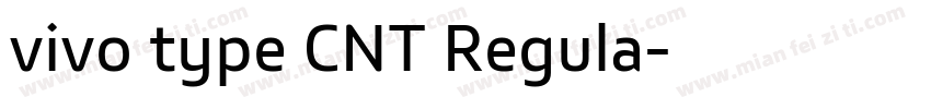 vivo type CNT Regula字体转换